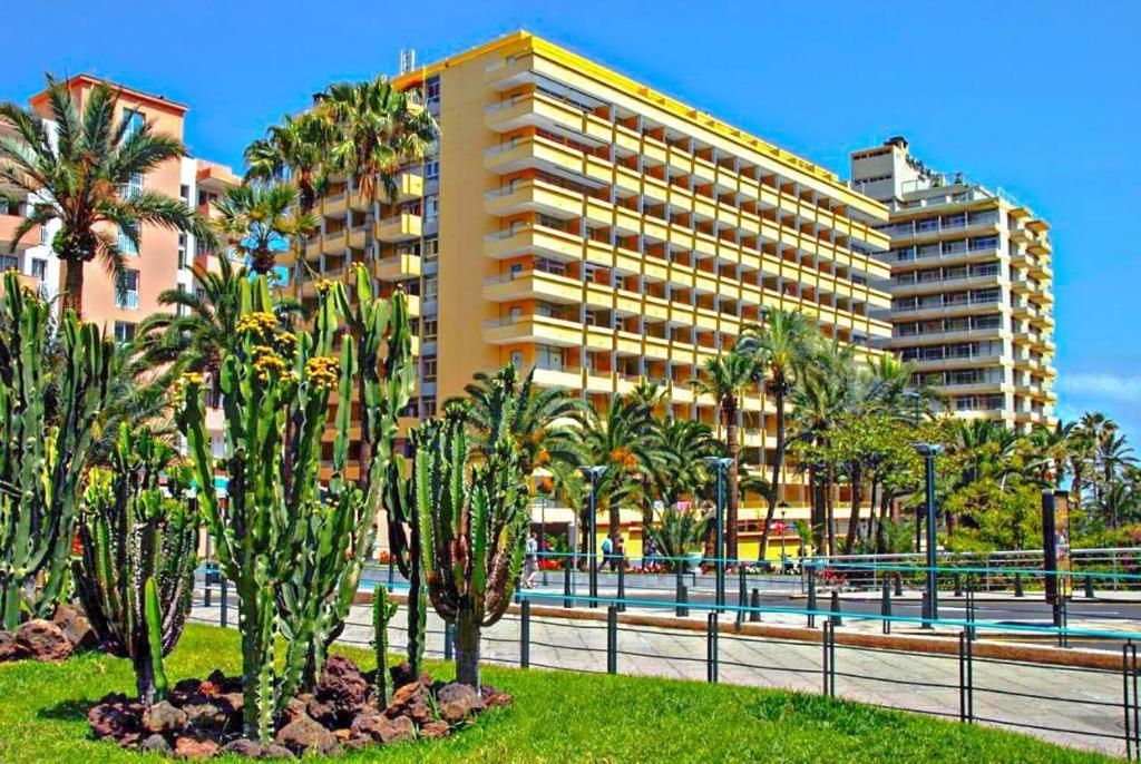 Amplio Estudio En Martianez Puerto de la Cruz  Exterior photo